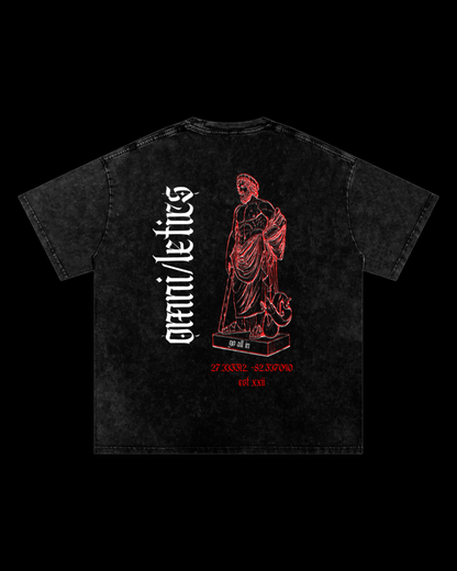 Relaxed Stonewash Tee | Statue [𝔯𝔢𝔡]